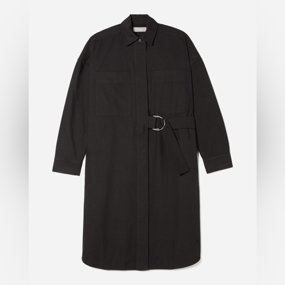 NWT Everlane The Oxford Shirtdress - Picture 6 of 16